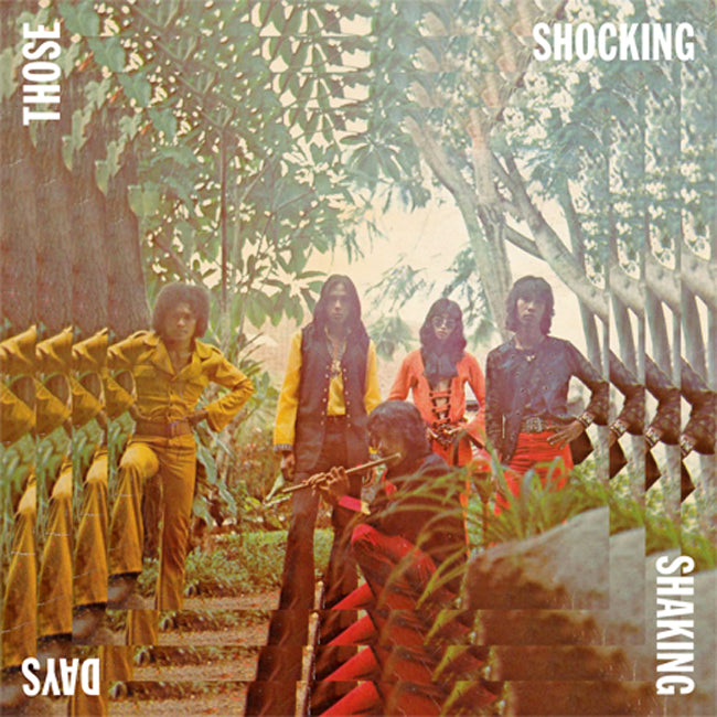 Various - Those Shocking Shaking Days